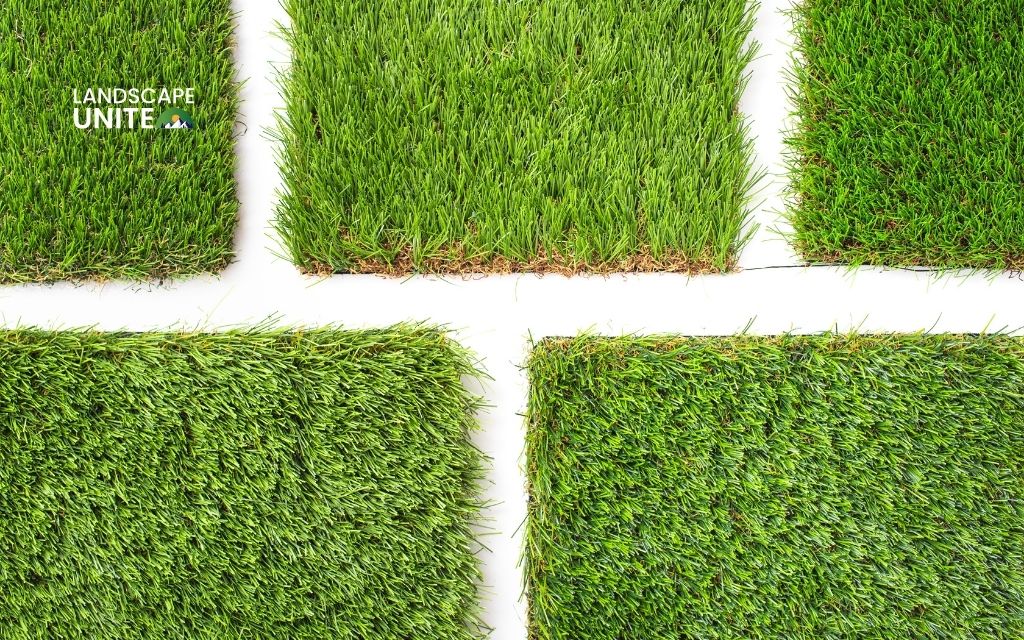 Key differences between turf and artificial grass