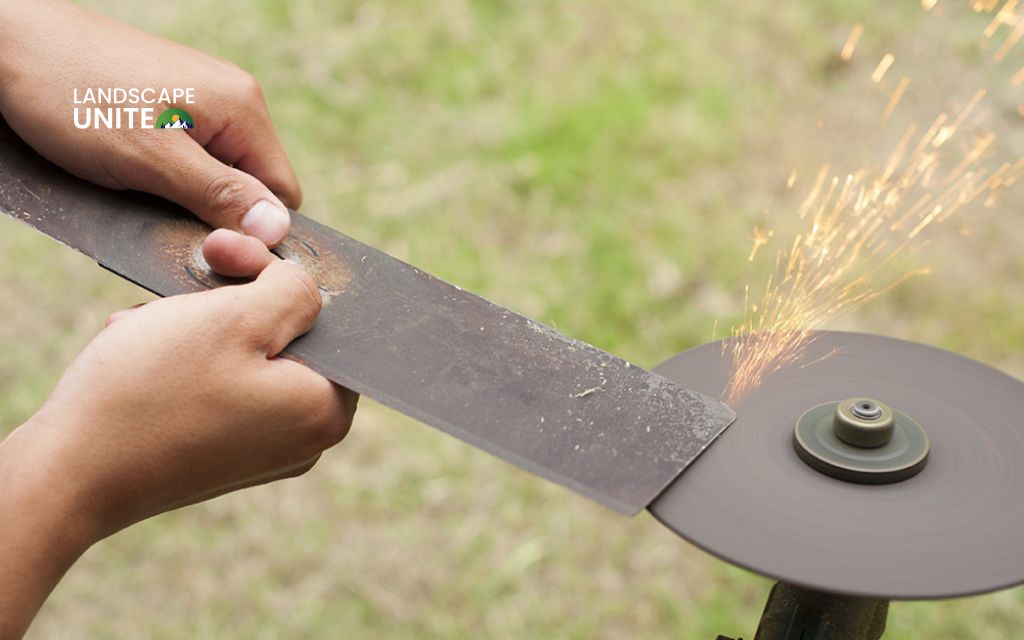 Sharpen blades & adjust cutting height