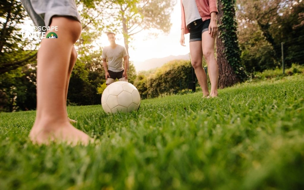 Sports field turf