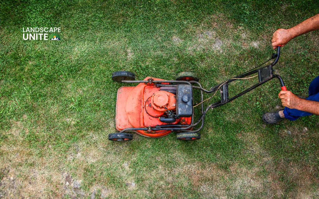 How late can you mow your lawn in the fall before damaging your grass? 2 Step-by-step mowing season wrap-up