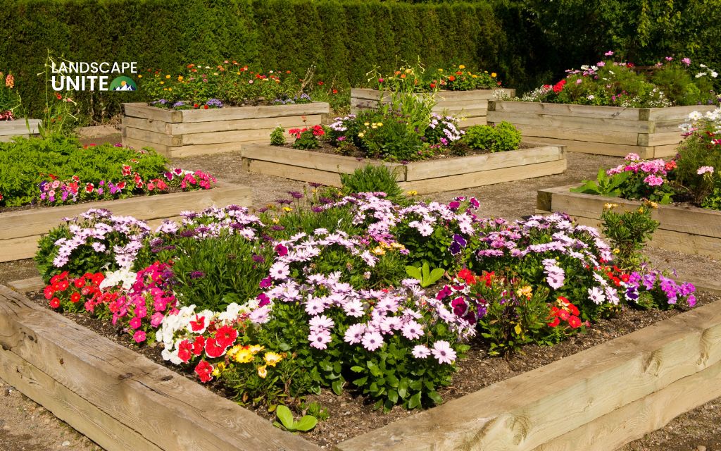 Troubleshooting common flower bed problems