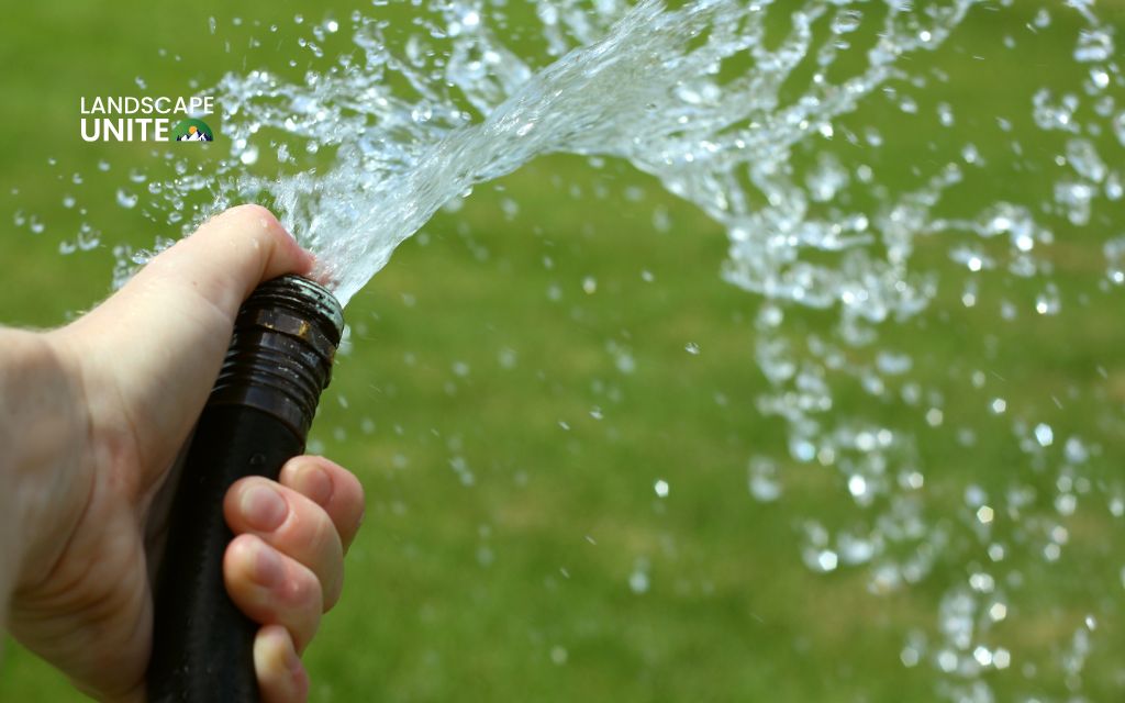 Pros and cons of artificial grass: Is fake lawn worth it? 2 Water conservation