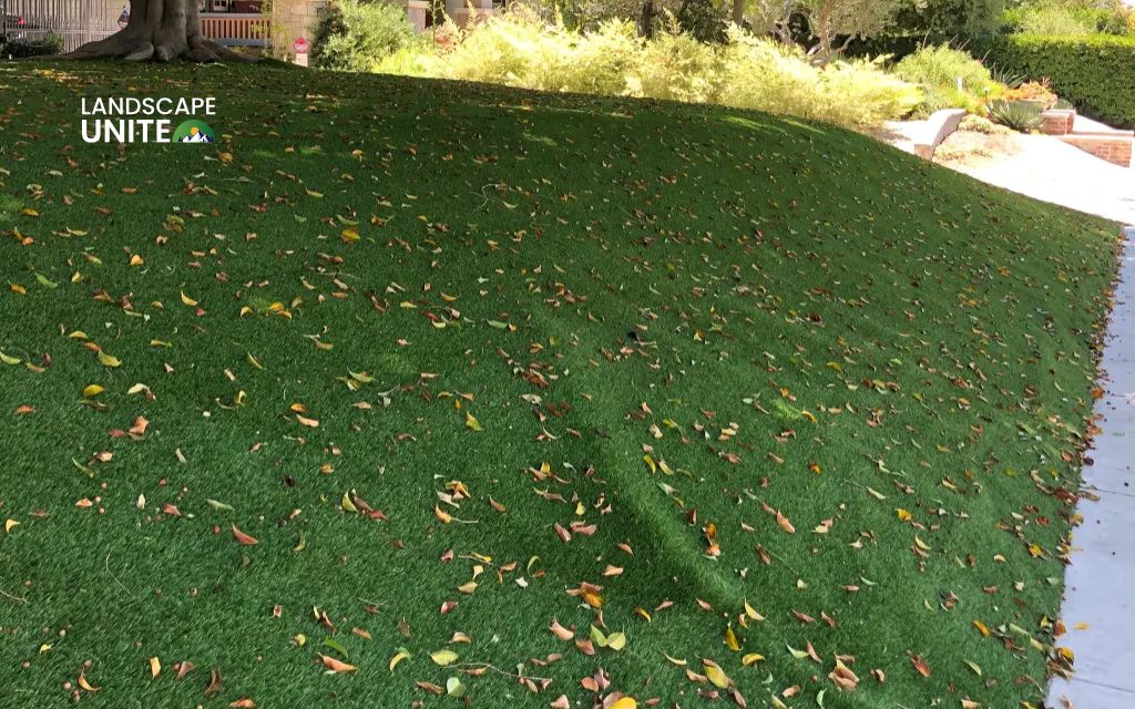 What are the problems with artificial grass? 11 common issues + solutions