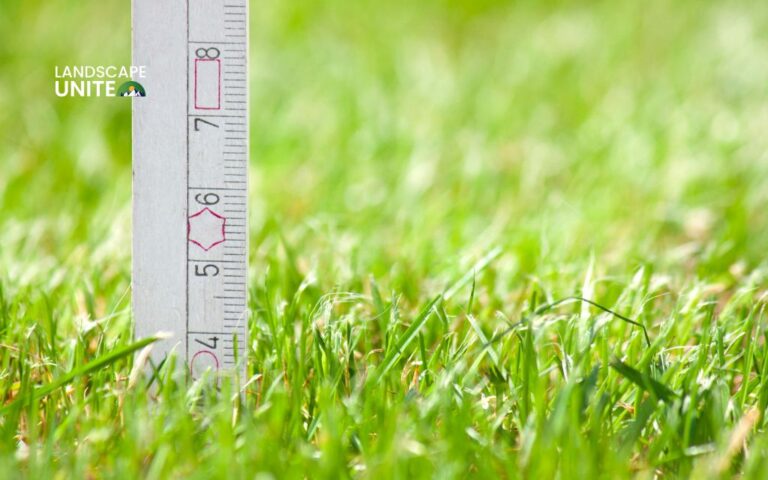 What are the recommended lawn mowing heights for each season?