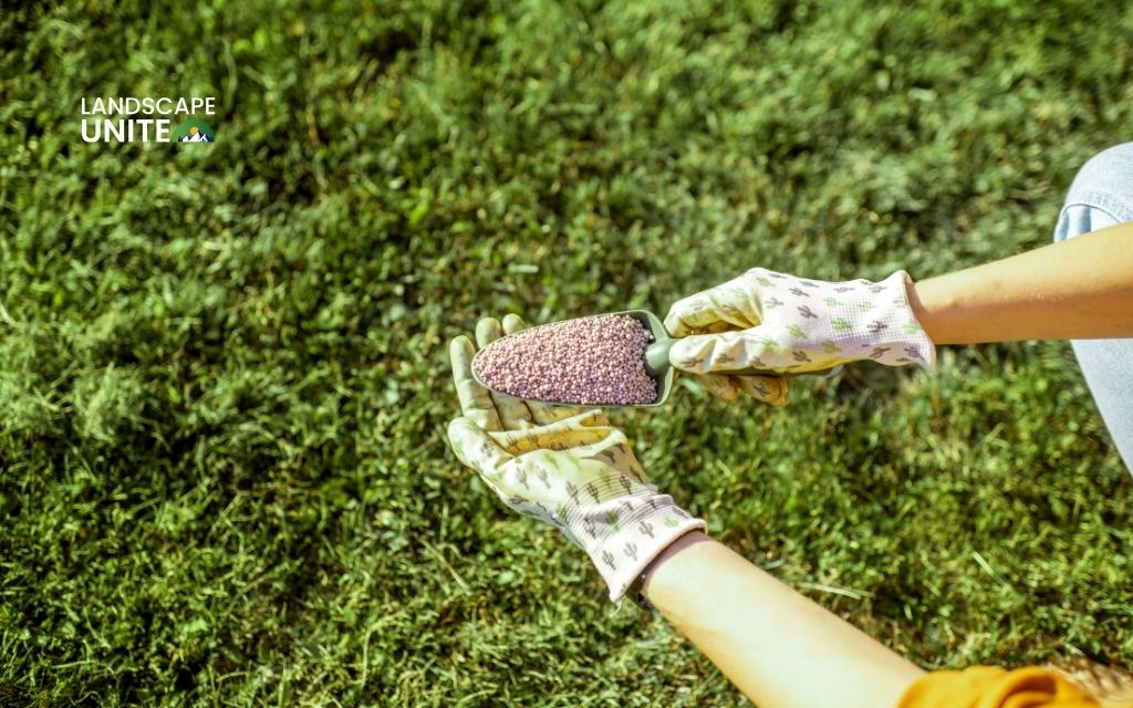 What fertilizer to use in fall? Fall fertilizer application step-by-step success guide