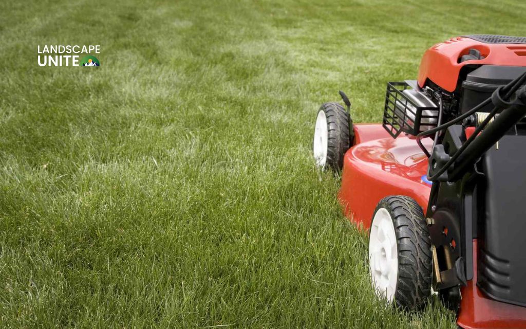 How late can you mow your lawn in the fall before damaging your grass? 1 When to stop mowing lawn in fall?