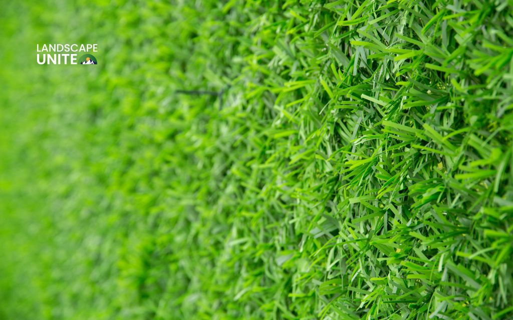 9 inspiring backyard artificial grass ideas to create your dream yard 5 Why consider artificial grass for your backyard?