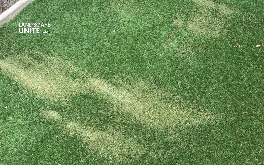 What to put under artificial grass for drainage - 4 materials that work 1 Why drainage matters for artificial grass