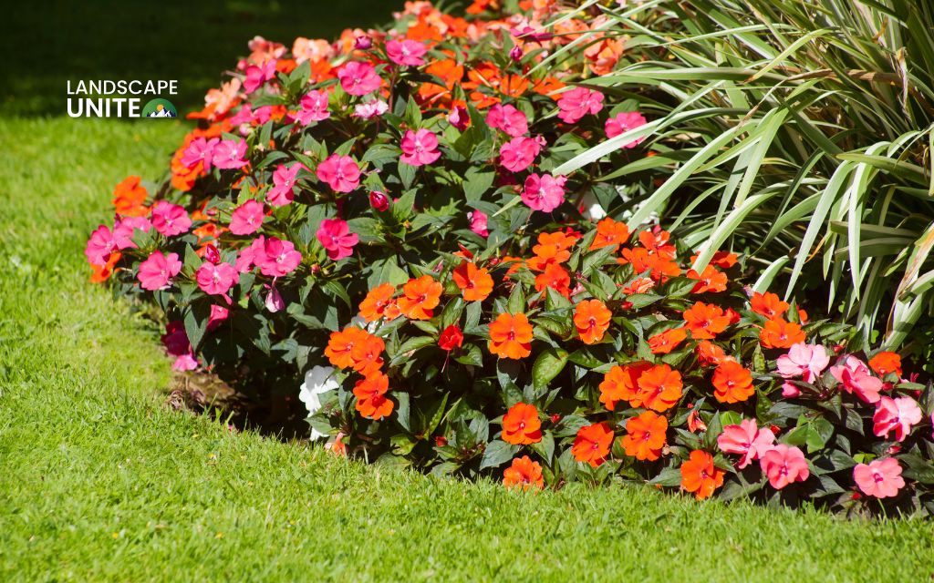 Why every homeowner should know how to create a flower bed