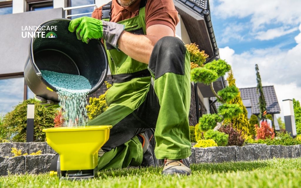 Why fall fertilizing is essential