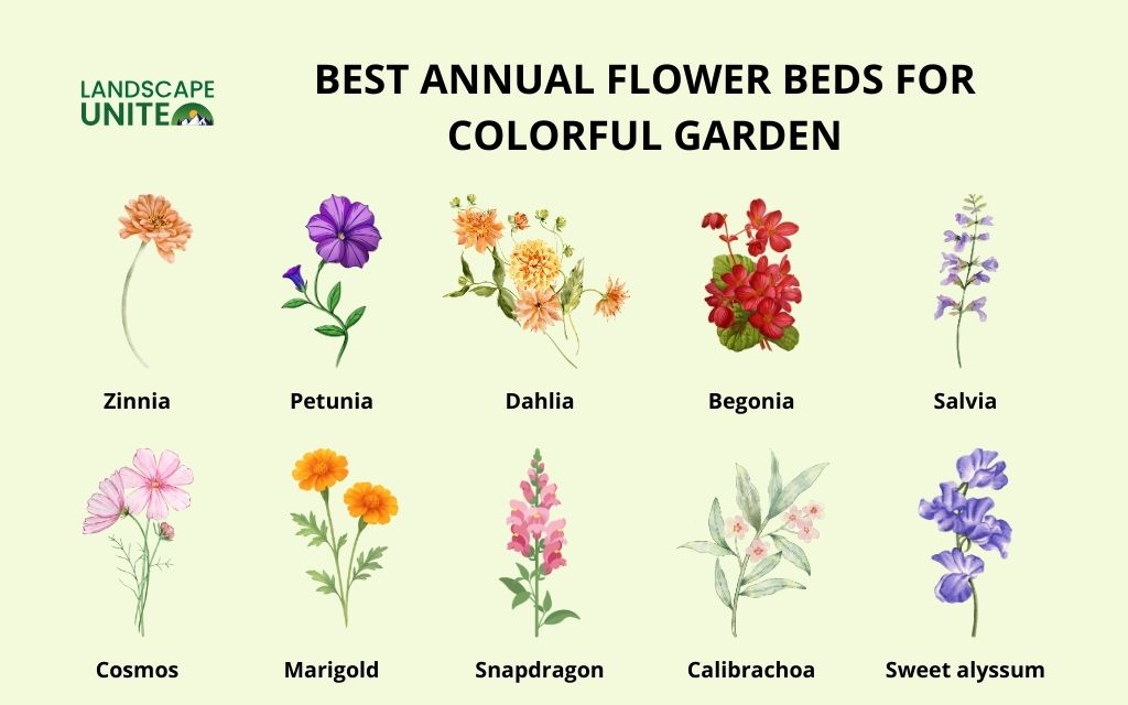 25 annual flower beds that deliver non-stop color all season 1 What are annual flower beds?