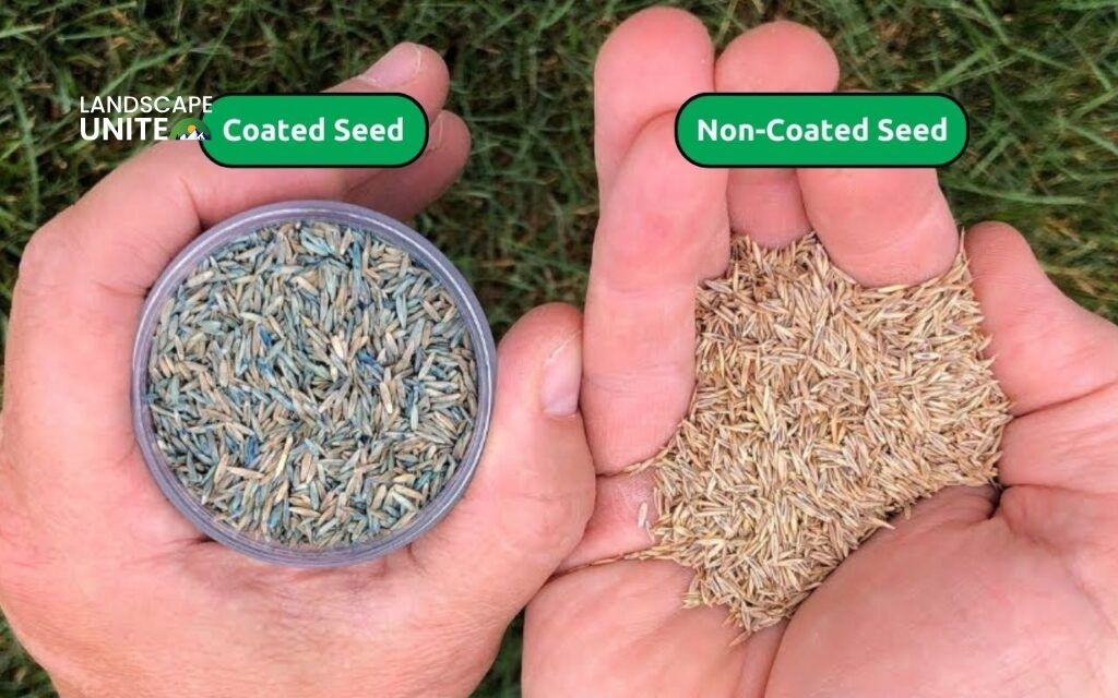 Apply bird-repellent grass seed coating