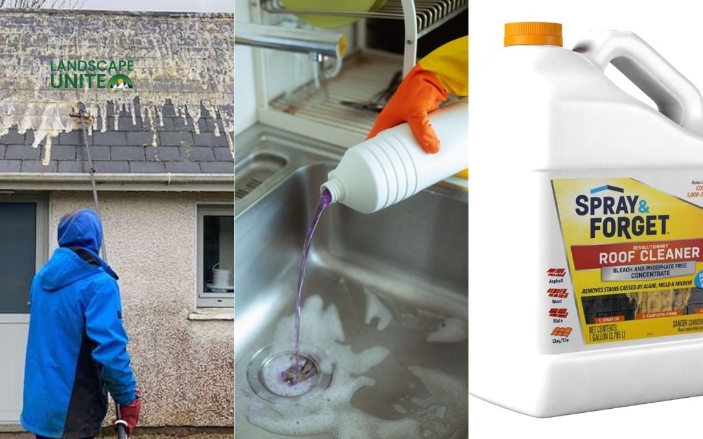 Best roof shingle cleaning methods