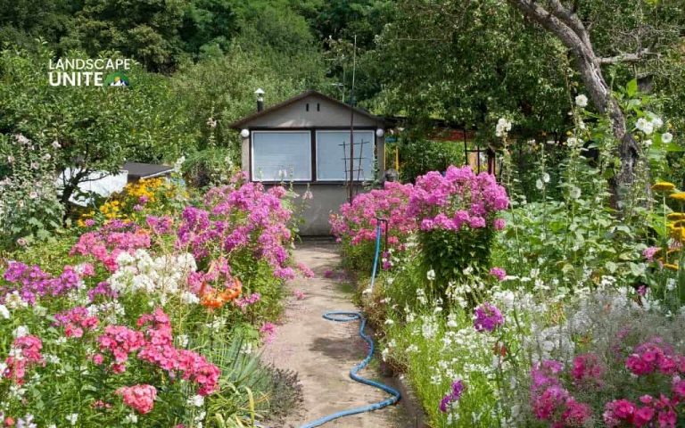 Cottage garden plans for beginners: Easy step-by-step layouts