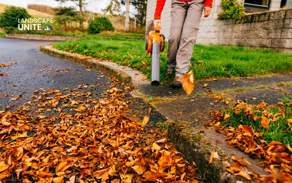 Factors that affect leaf removal costs