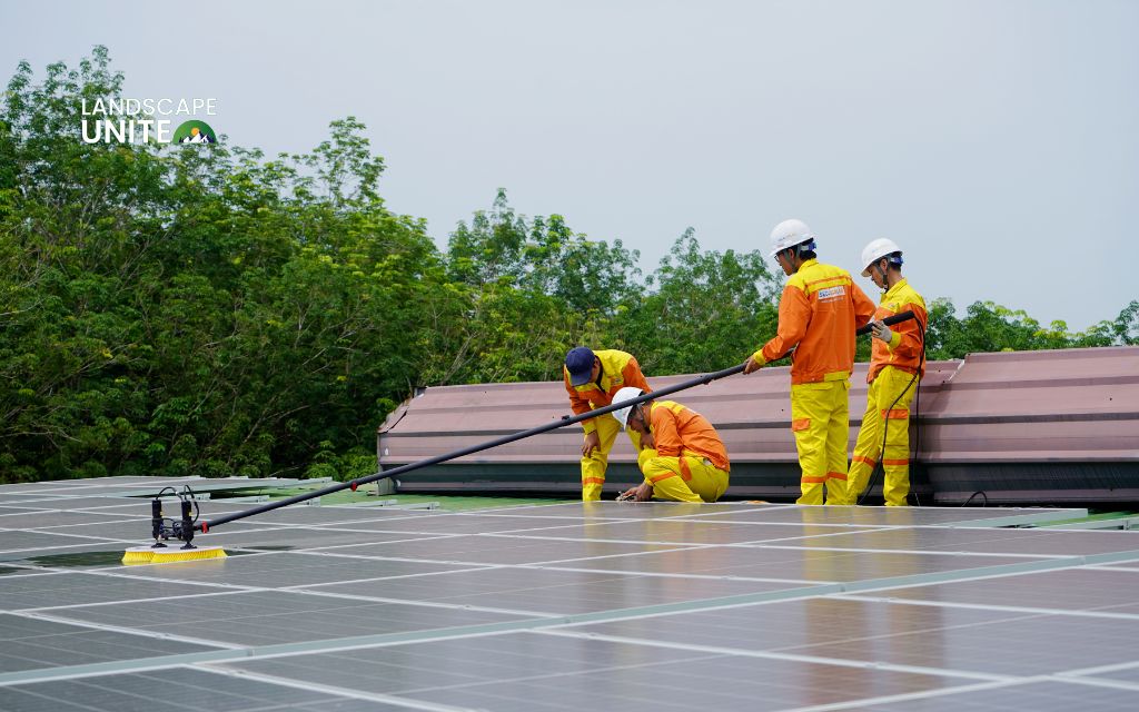 Factors that influence roof cleaning prices