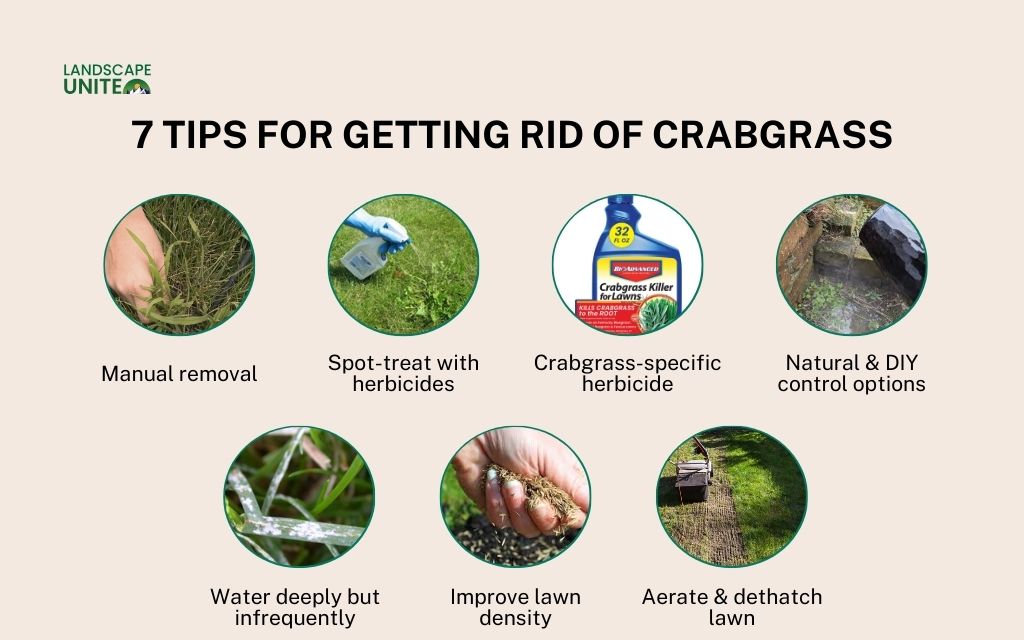 How do I get rid of crabgrass? (7 proven methods)