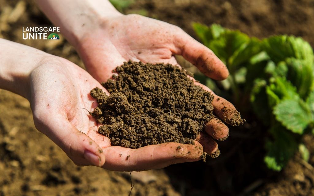 How much does a yard of topsoil cover? ultimate calculator guide [2025]