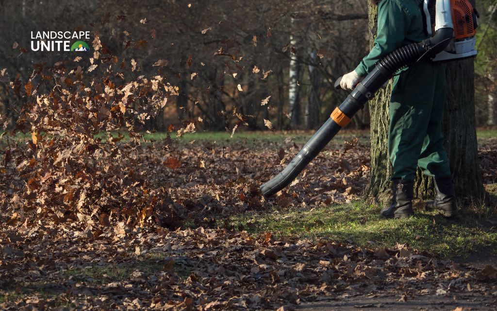 How much does leaf removal cost in 2025? 