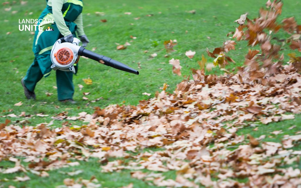How much does yard cleanup cost​ and additional service costs