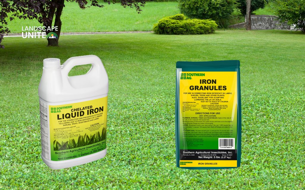 How to apply iron to lawn (step-by-step)