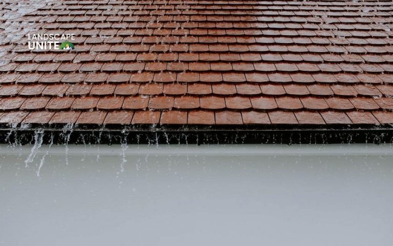 How to clean roof shingles: 7 steps to remove algae & moss