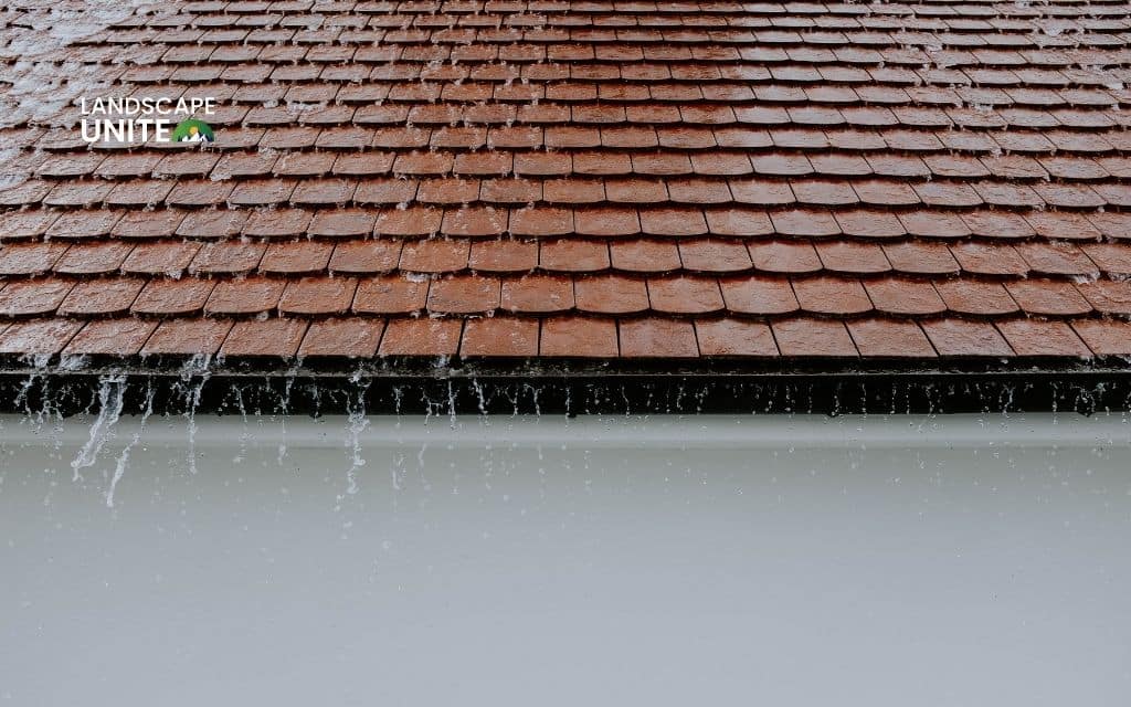 How to clean roof shingles: 7 steps to remove algae & moss
