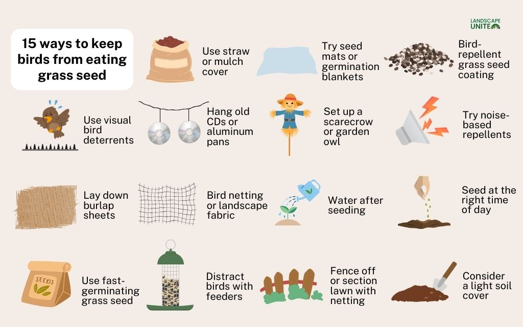 How to keep birds from eating grass seed? 15 useful tips