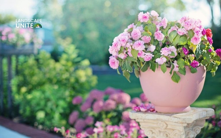 How to maximize your garden with potted plants in flower beds [+12 ideas]