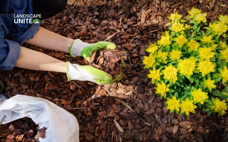 How to mulch flower beds: 4 simple steps for a thriving garden