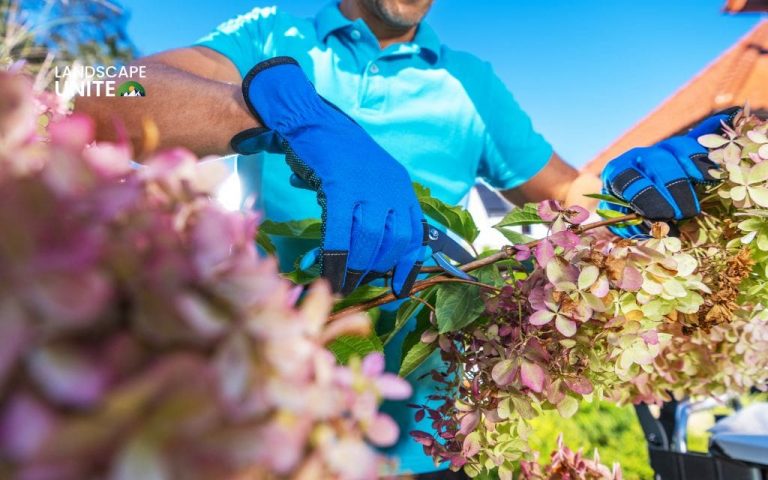 How to start trimming flower beds like a pro with this simple guide