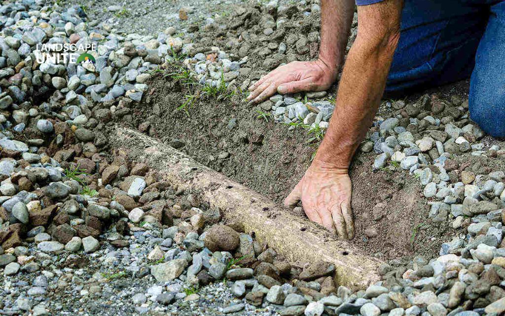 How to get rid of mushrooms in lawn: 9 proven methods that actually work 2 Improve lawn drainage and reduce moisture