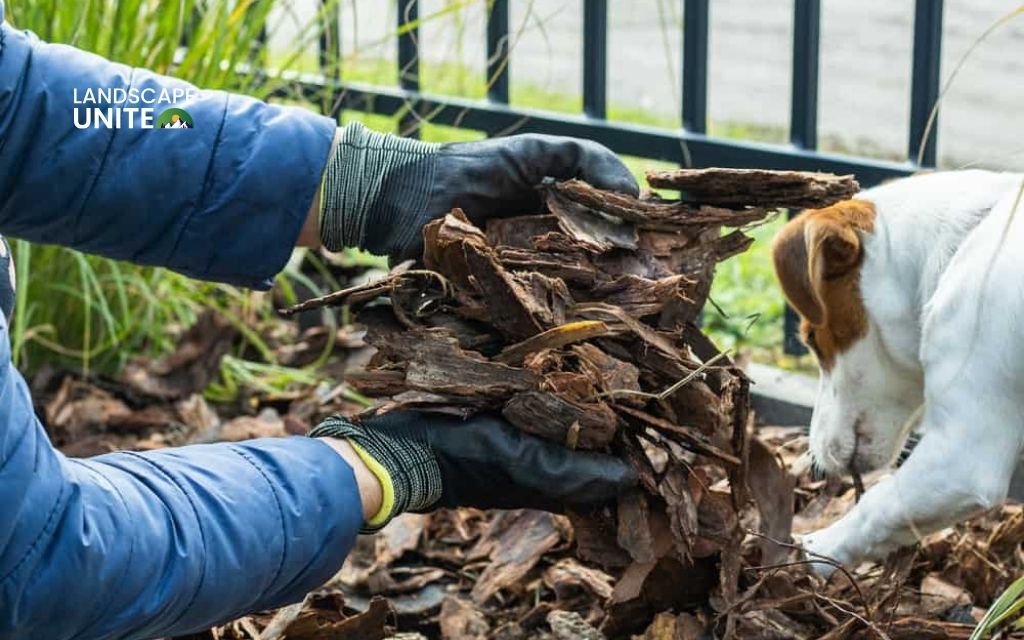 Mulch smartly to deter digging - How to keep dogs out of flower beds