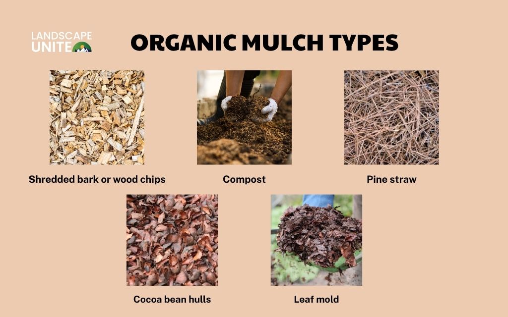 How to mulch flower beds: 4 simple steps for a thriving garden 1 Organic mulch types