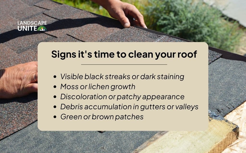 Signs it's time to clean your roof