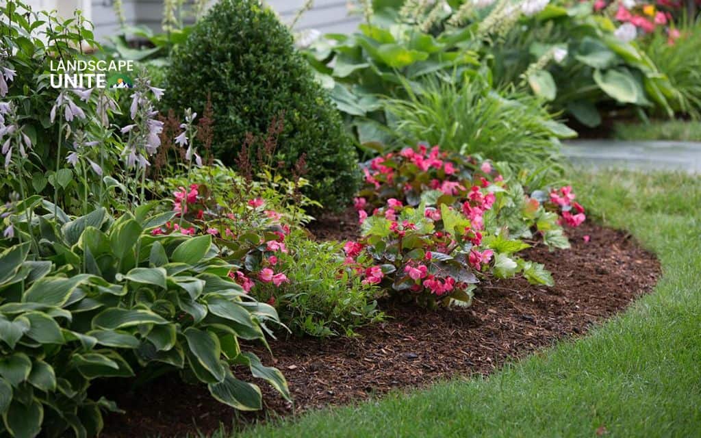 Step 5: Clean and mulch