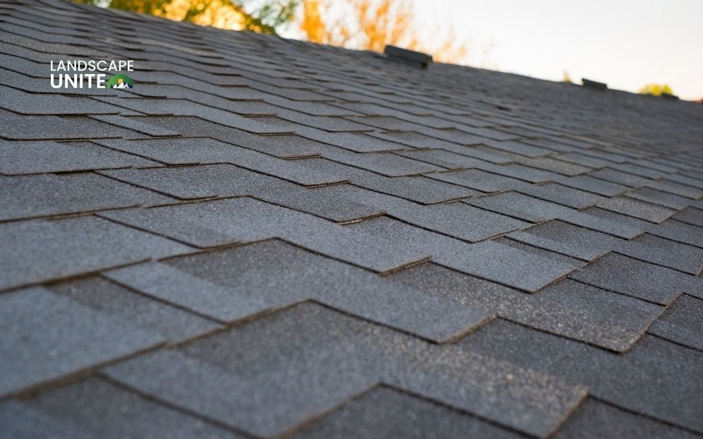 Step-by-step guide to cleaning roof shingles