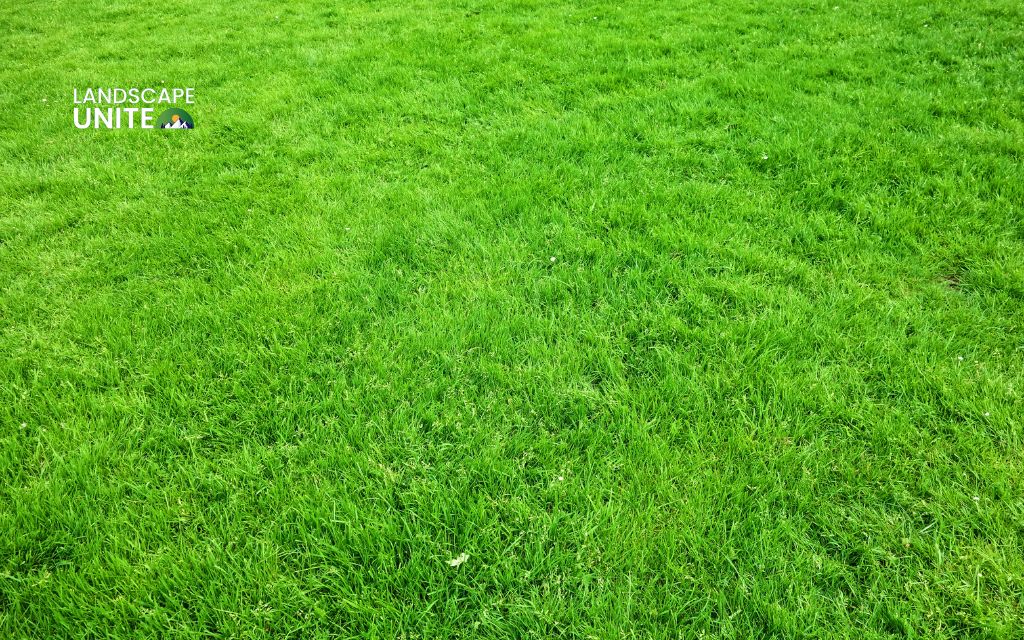 Fix soft spots in your yard: 7 common causes + expert solutions guide 5 Step-by-step: How to fix a soft spot in your yard