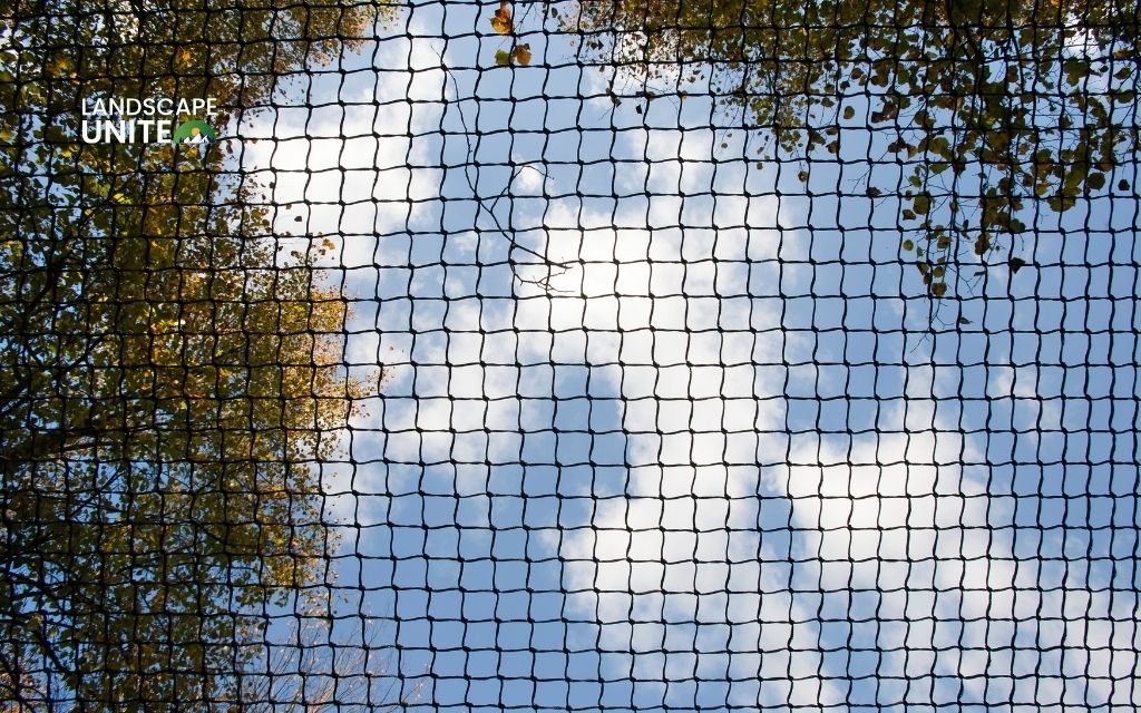 Use bird netting or landscape fabric