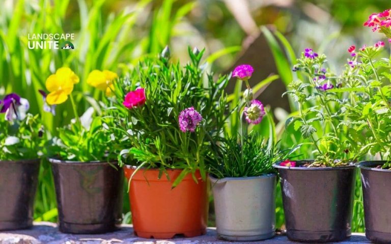 Using pots in flower beds: 10 stunning ideas that actually work