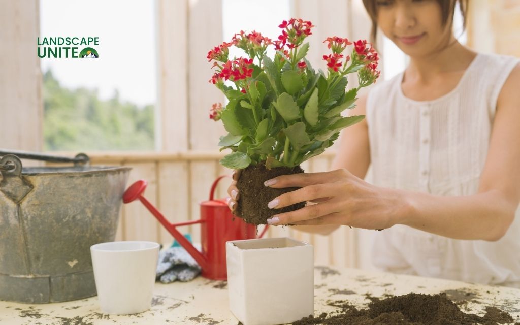 Using pots in flower beds: How to incorporate them?
