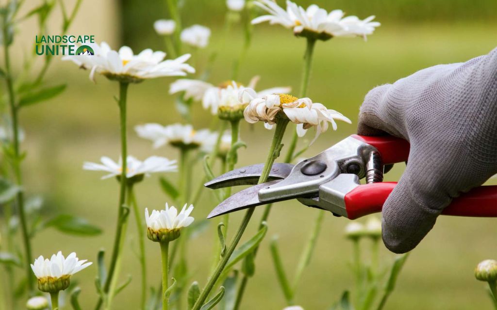 What does trimming flower beds involve?