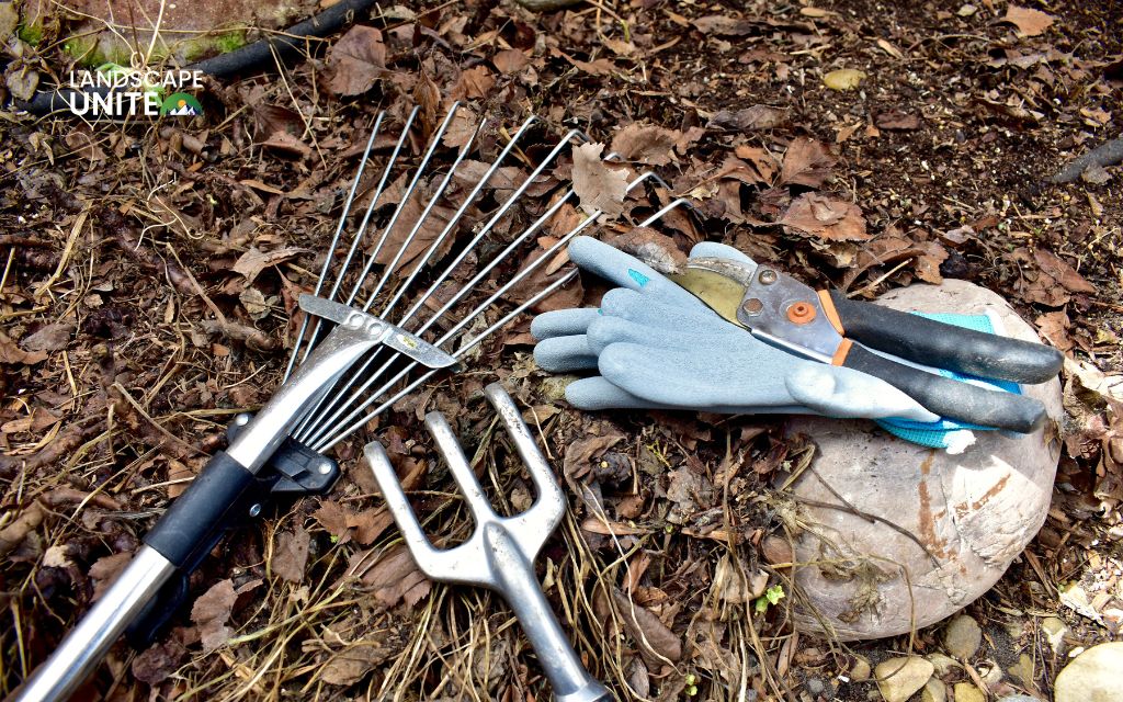 What factors can affect the cost of yard cleanup?