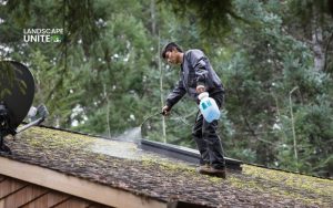 Cleaning Moss Off Roof Without Damage: Proven 5-Step System