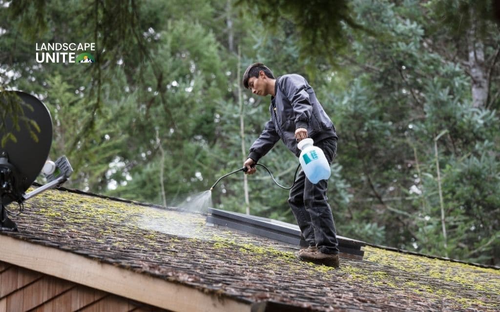 Is moss destroying your roof? Stop roof damage with proven 5-step guide 2 When is the best time for cleaning moss off the roof?