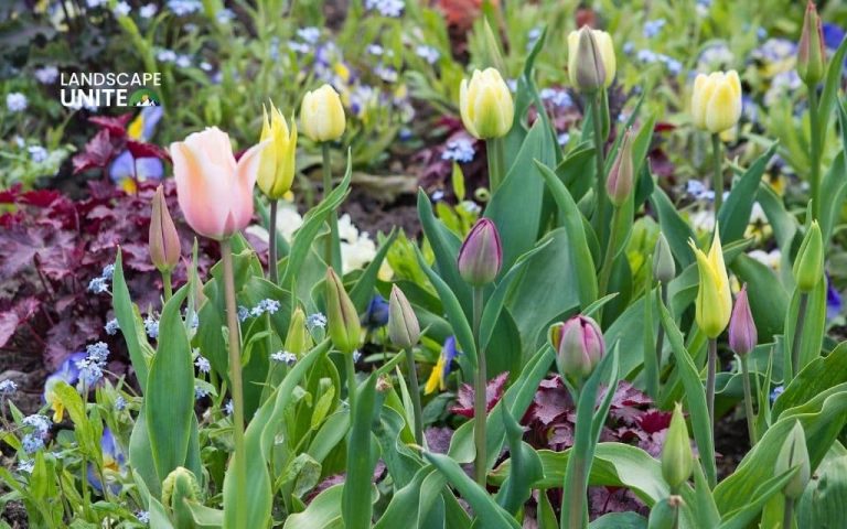 20+ Best spring flower beds ideas for a vibrant, colorful garden