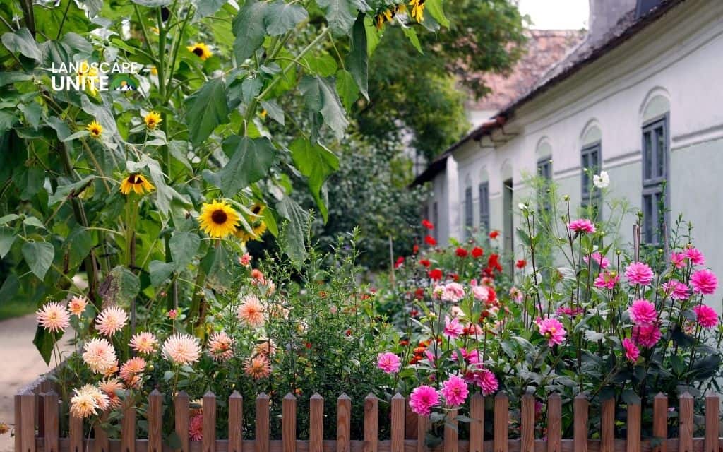 25 best plants for front of house that boost curb appeal 1 25 best plants for front of house