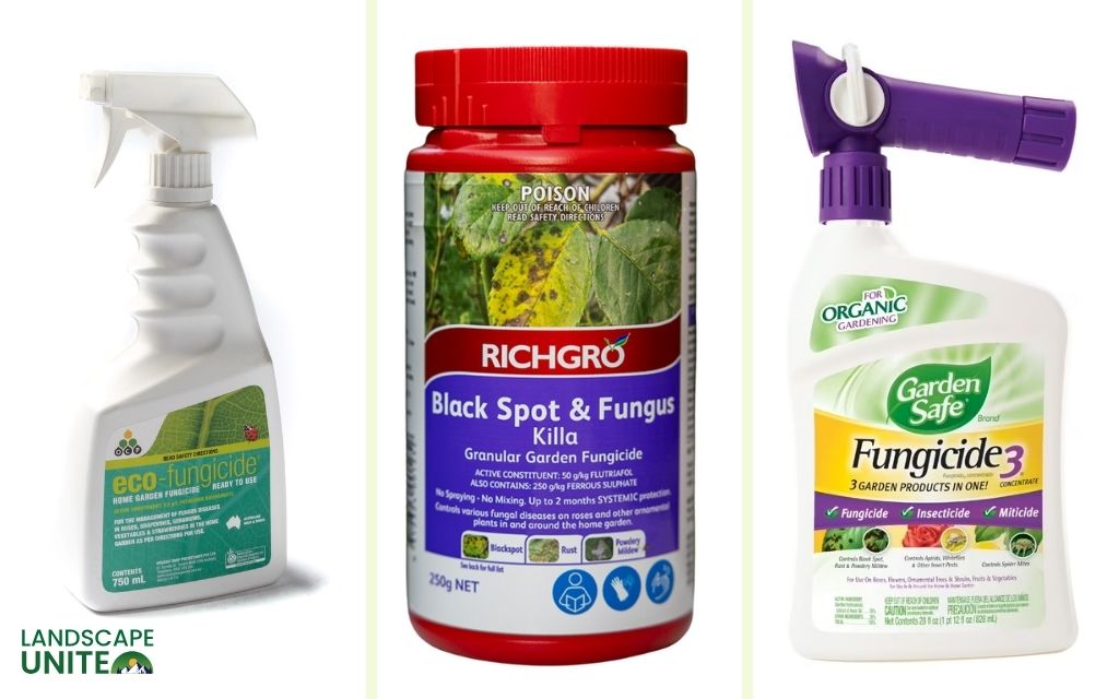 Explore the best fungicides for plants with complete guide 2 3 Best fungicides for specific garden areas