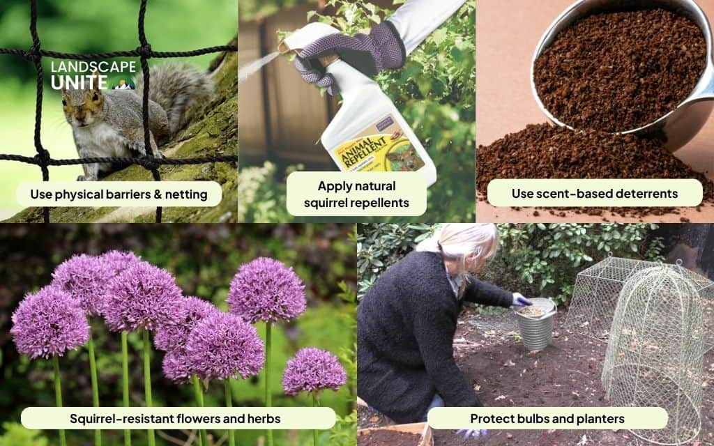 Keeping squirrels out of garden with 9 solutions to save your harvest today 2 9 Proven methods to keep squirrels out of the garden (part 1)