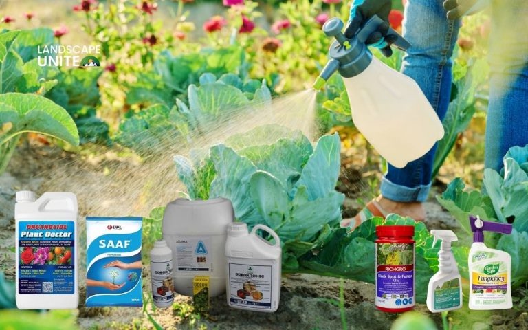 Best fungicides for plants: Complete disease control guide